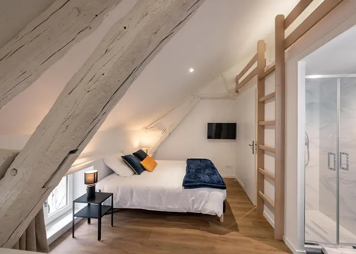 Apartment Les Cles De La Porte Saint-nicolas - Parking - Centre *