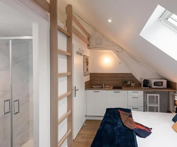 Les Cles De La Porte Saint-nicolas - Parking - Centre Apartment *